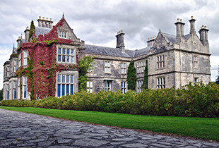 為了商務(wù)出行更方便，張先生在廣州澳星辦理愛(ài)爾蘭投資移民