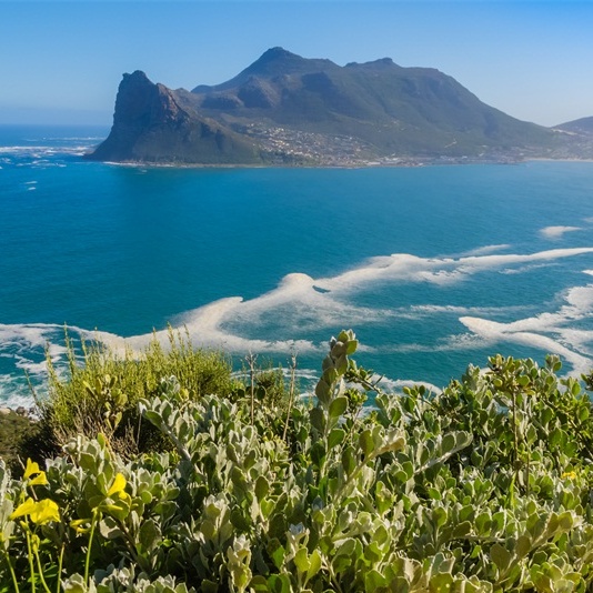 貿(mào)易生意客戶成功獲批澳洲888綠卡！